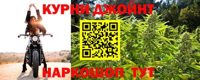 трава Гатчина