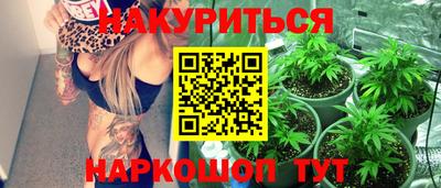 трава Гатчина