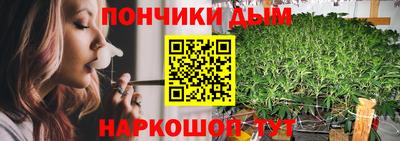 трава Гатчина
