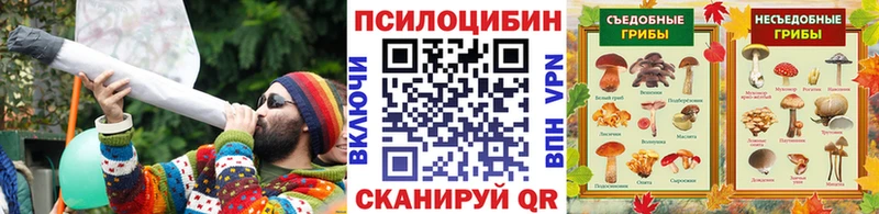 хочу   Алексеевка  Псилоцибиновые грибы Cubensis 
