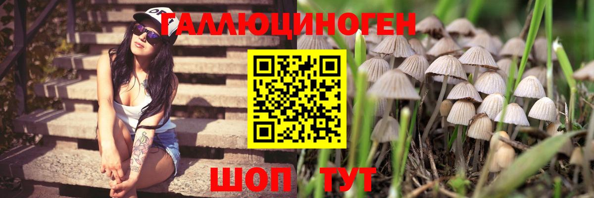 Псилоцибиновые грибы MAGIC MUSHROOMS  Вход с VPN  Алексеевка 