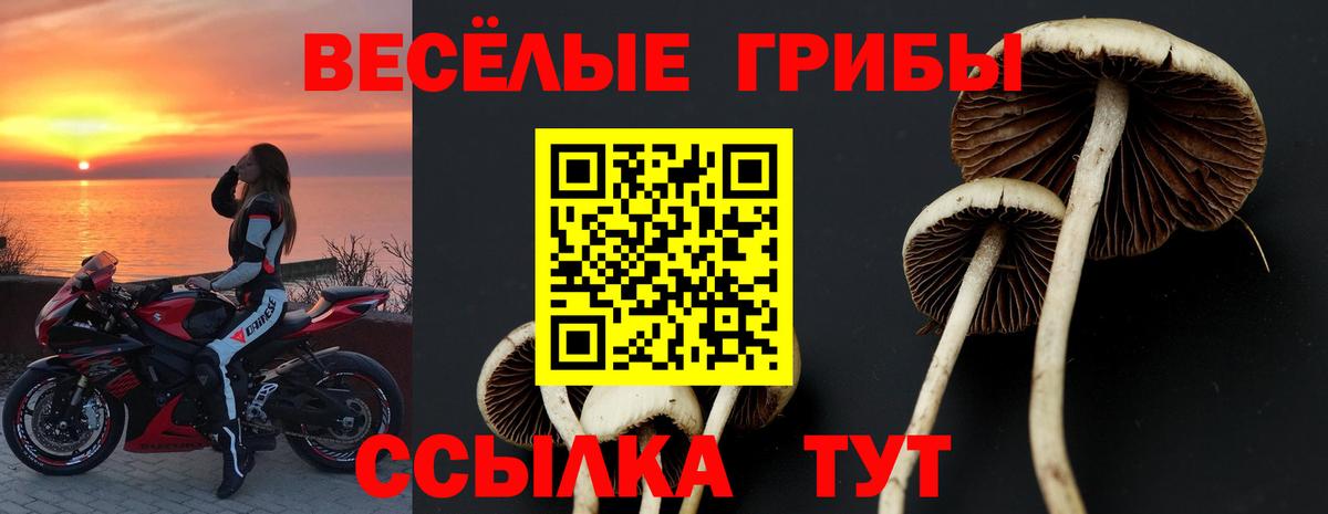 Псилоцибиновые грибы прущие грибы  Вход с VPN  закладка  Алексеевка 