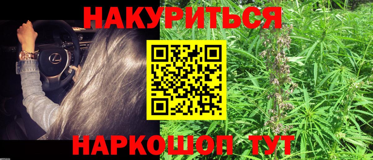 Каннабис AK-47 Алексеевка